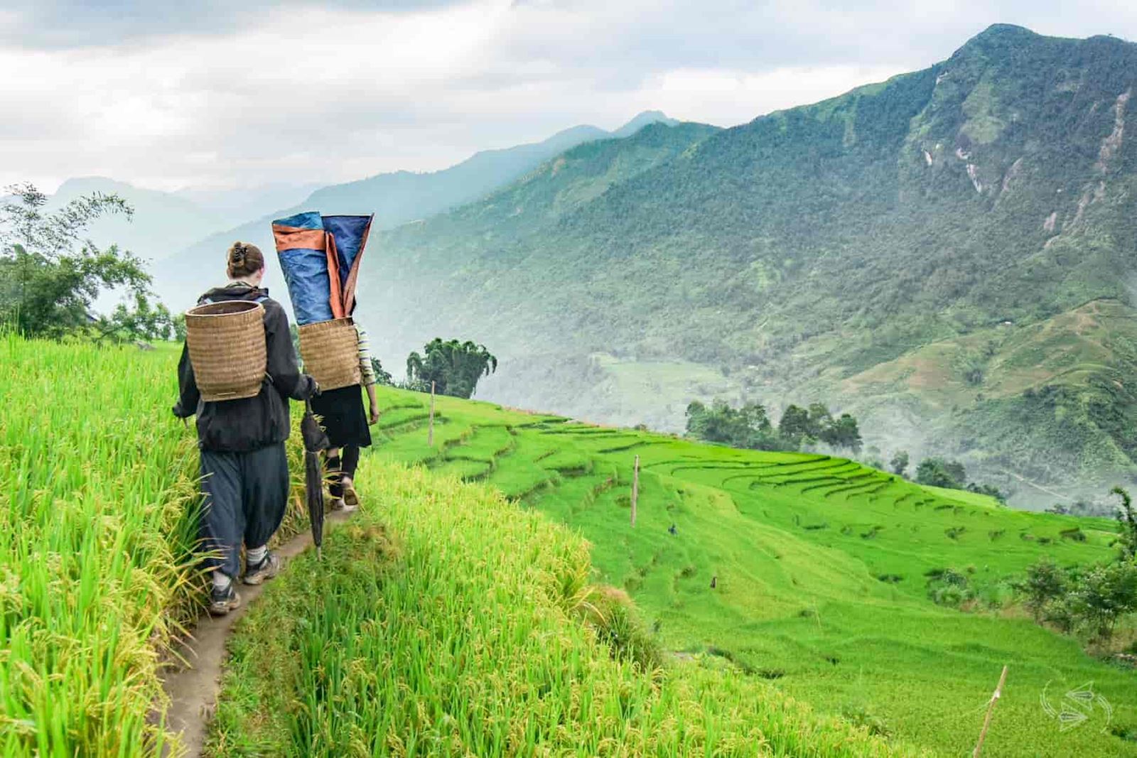 Allinone guide to trekking in Vietnam